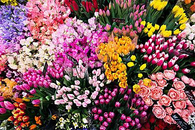 《2024: Mosaic Retrospective》免费登陆Steam 地雷拼图