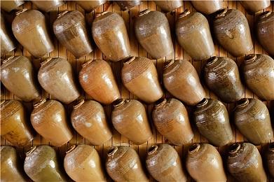 39music！ 《喵斯快跑》宣布联动“初音未来”